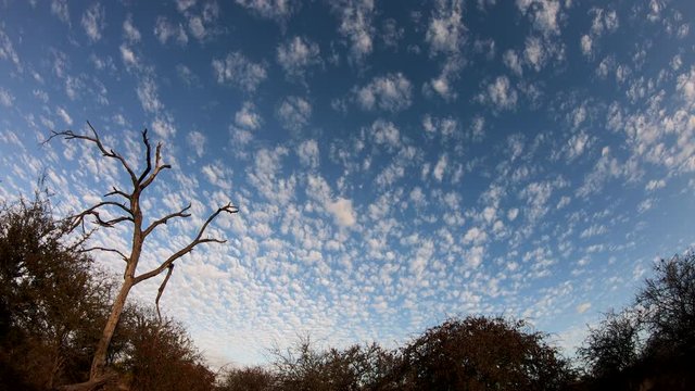 Timelapse of clouds over the Bushveld Savannah in Southern Africa.