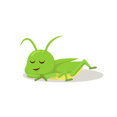 Grasshopper cute mascot insect design illustration