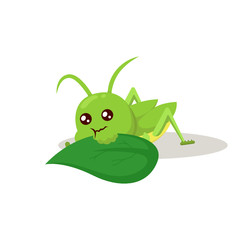 Grasshopper cute mascot insect design illustration