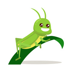 Grasshopper cute mascot insect design illustration