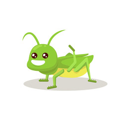 Grasshopper cute mascot insect design illustration