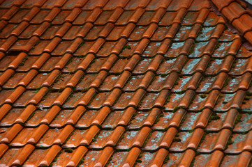 Wet tiles on the house roof