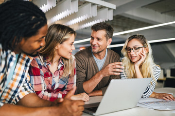 Group of business people and software developers working as a team in office