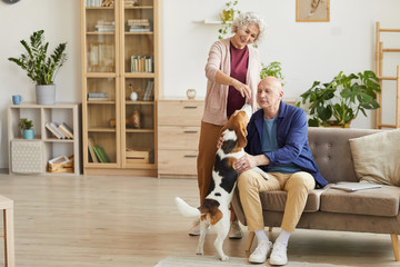Warm toned full length portrait of loving senior couple playing with dog in cozy home interior,...