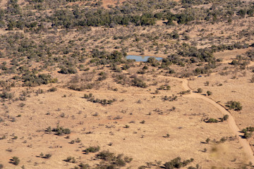 Winter landscape of the south african bush.