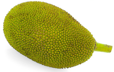 Jackfruit isolated on white background