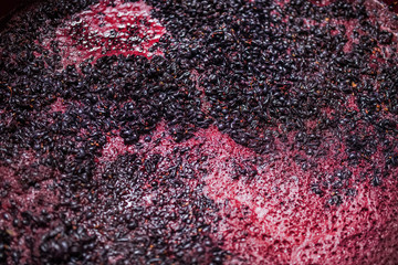 Fermentation of grape must, winemaking concept. Top view.