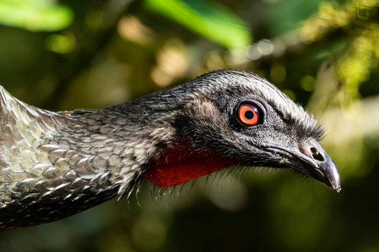 รูปภาพJacu – เลือกดูภาพถ่ายสต็อก เวกเตอร์ และวิดีโอ126 | Adobe Stock