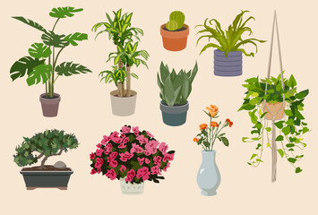 9 isolated house plants in pots with leaves and flowers