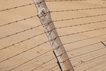 A border fence built on beach sand. Immigration control concept image. 