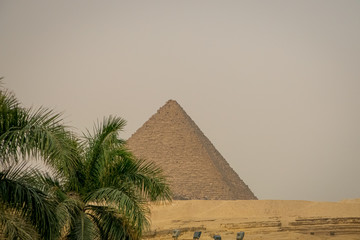 Fototapeta na wymiar Pyramids of Giza. Cairo. Egypt