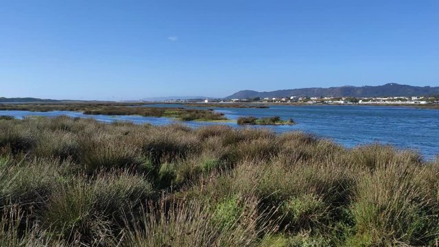 The Northern Litoral Natural Park at Ofir, Esposende, Portugal. The large estuary of the C&aacute;vado river, where you can spot migratory birds such as capped herons, terns, mallards and herring gulls.