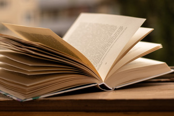 Book, reading, summer, rainy weather, rainy