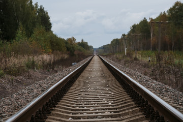 Fototapeta na wymiar old railway in forest on cloudy autumn