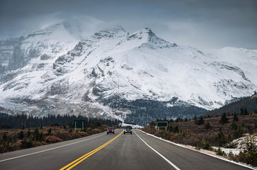 Fototapeta premium Car on highway and snowy mountain range in gloomy at Icefields Parkway