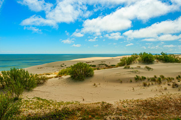 Sand dunes at the Curonian Spit National Park on the Baltic Sea.