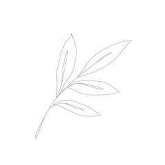 Fototapeta premium Minimalism line drawing. Flower vector one line art. Botanical Sketch Vector Illustration. Nature vector Line drawing.