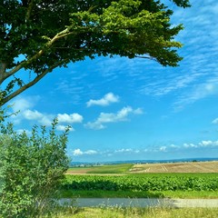 Fototapeta premium Blick über das Donaumoos mit Wolken am Himmel