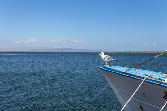 Fishing boats in the port of Sant'Antioco, Sardinia