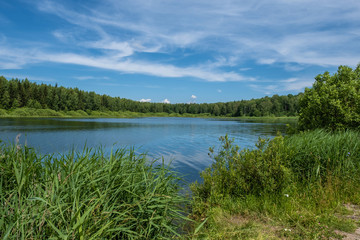 A small lake surrounded by forest on a sunny summer day.