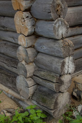 Beautiful background of old timber timber