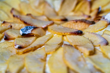 delicious apple pie close up