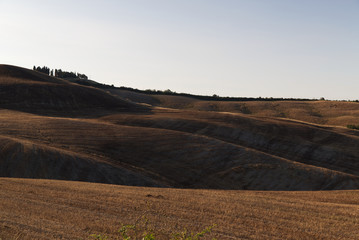 Tuscany landscape, around the city of Siena
