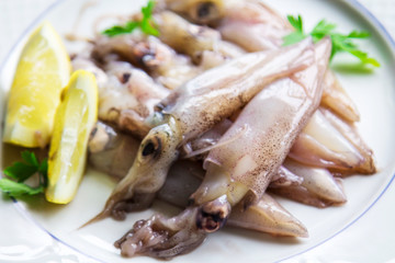 fresh squid with lemon and parsley on the plate