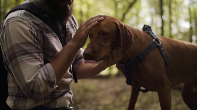 A dog and it's owner in the woods
