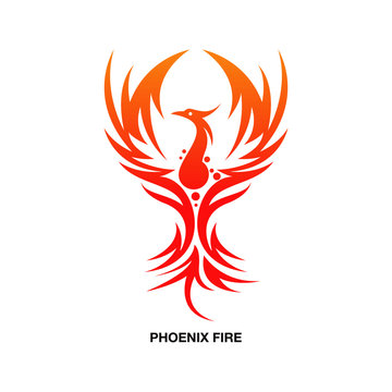 Flying Phoenix Fire Bird abstract Logo design vector template. Dove Eagle Logotype concept icon. high quality vector design or illustration