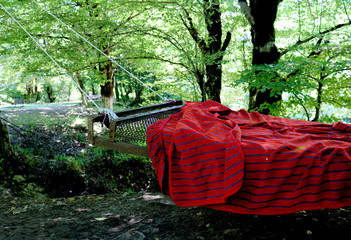 The iron bed is hanging on a tree in the forest for relaxation time. Hammock	