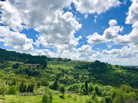 Beautiful hills in Tuscany under amazing blue skies  painted with white puffy clouds
