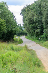 Plakat road in the forest