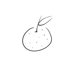 Vector illustration. Black contour element. Mandarin or tangerine isolated on white. Ingredient for lemonade, jam. Hand drawn doodle simple fruit clipart