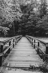 Floating Bridge, Bays Mountain