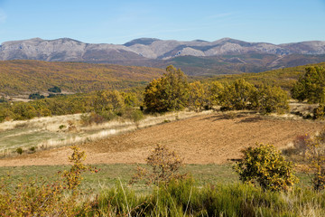 View of rolling autumn landscape with forests, mountains in the background and plowed field in the foreground