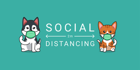 Covid-19 protection concept tabby cat and siberian husky dog wearing protective face mask social distancing for design.