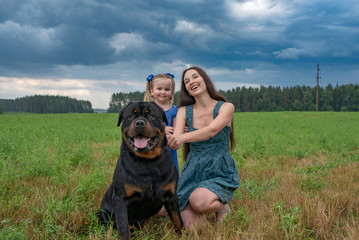 Fototapeta premium A young girl with her five-year-old daughter is playing with a rottweiler on a summer field.
