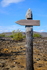 Wooden signpost without text.