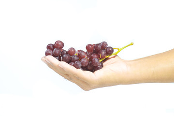 Red grapes in hand on a white background