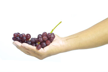 Red grapes in hand on a white background