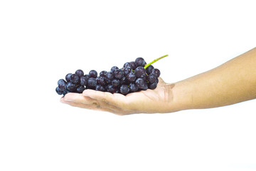 Red grapes in hand on a white background