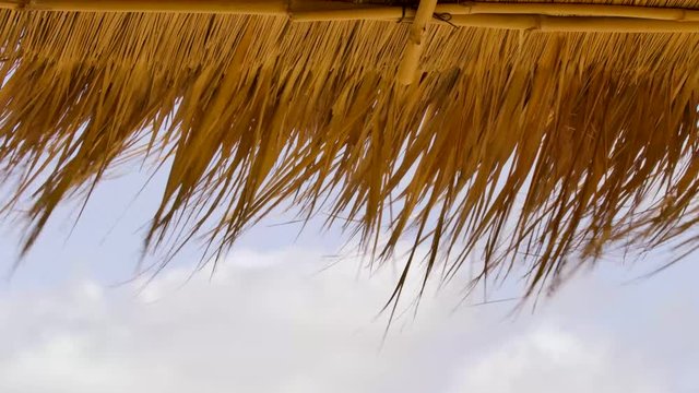 slow motion movement of Meaning of thatch,roof made from dry grass