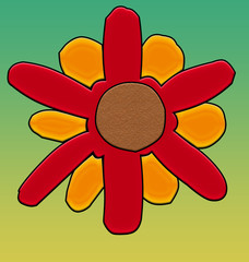 Multi-petal flower with striking colors