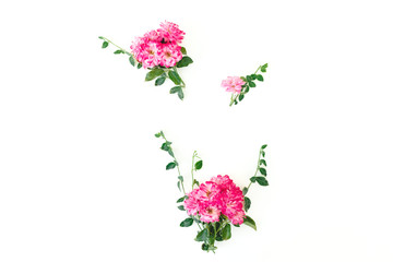 Floral composition of pink roses flowers with green leaves on white background. Flat lay