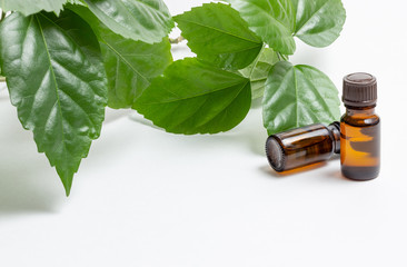 Glass cosmetic bottles with a dropper stand next to green leaves on a white background. Organic cosmetics concept, natural essential oil and cream