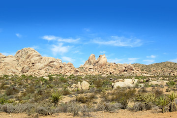 Fototapeta premium Wide angel view of a boulder mountain range in Southern Nevada