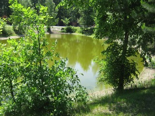 Mysterious lake in the Park between the trees.