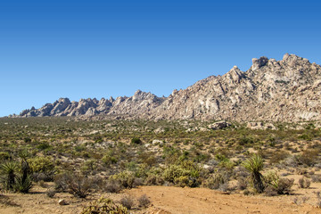 Fototapeta na wymiar View of a boulder mountain range in Southern Nevada