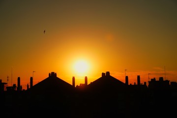 sunset over the city